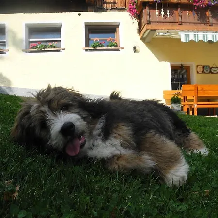 Entschleunigungshof Huberbauer Appartement Kotschach-Mauthen