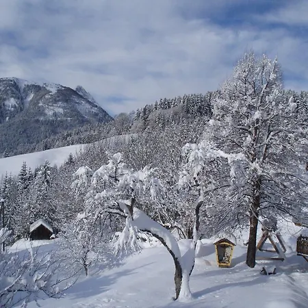 Entschleunigungshof Huberbauer Appartement *