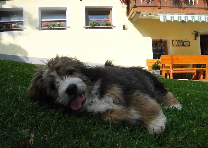 Entschleunigungshof Huberbauer Apartament Kotschach-Mauthen